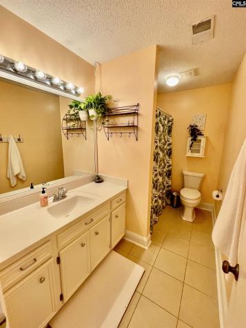 125 Forty Love Point Chapin SC 29036