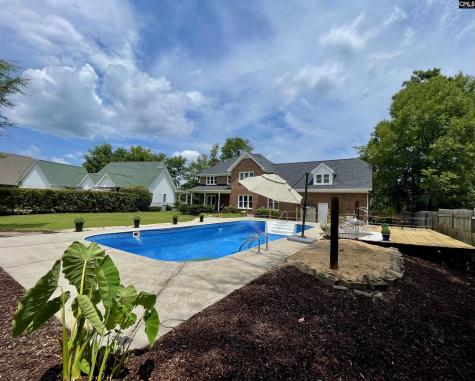 125 Forty Love Point Chapin SC 29036