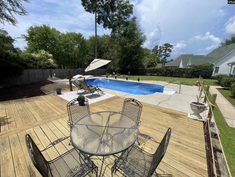 125 Forty Love Point Chapin SC 29036
