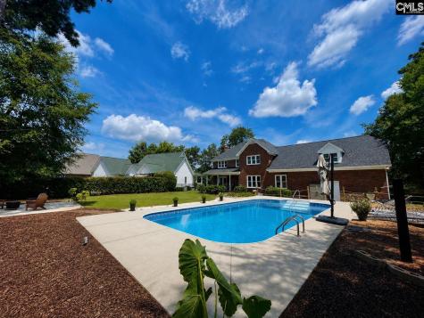 125 Forty Love Point Chapin SC 29036