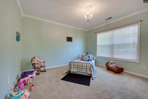 130 Letha Lane Lexington SC 29072