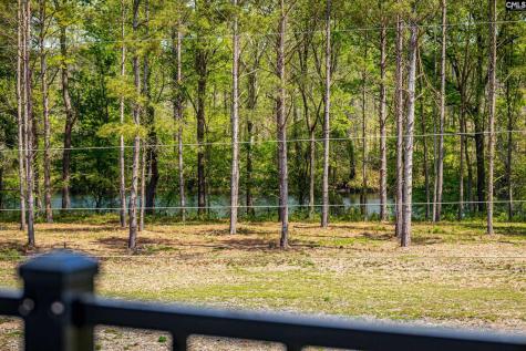 2040 Shallow Bluff Court Lexington SC 29072
