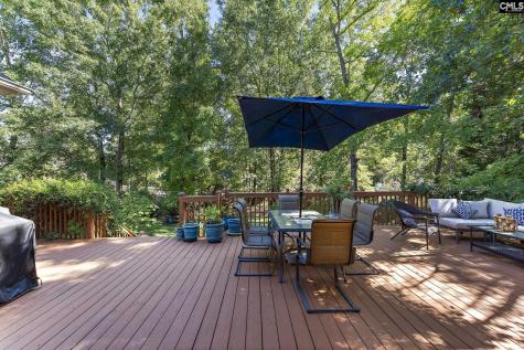 516 Harbour Place Court Lexington SC 29072