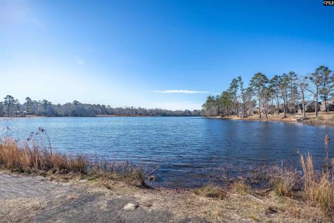 528 Saw Cheek Lane Lexington SC 29072