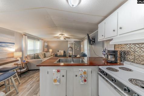 177 Cold Harbor Drive Saluda SC 29138