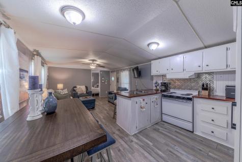 177 Cold Harbor Drive Saluda SC 29138