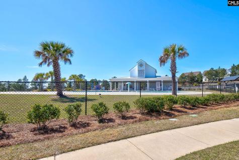 2221 Trakand Drive Lexington SC 29073