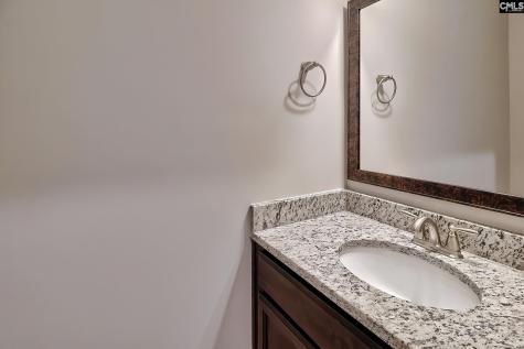 923 Taramore Lane Lexington SC 29072