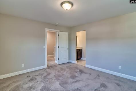 923 Taramore Lane Lexington SC 29072