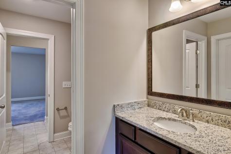 923 Taramore Lane Lexington SC 29072