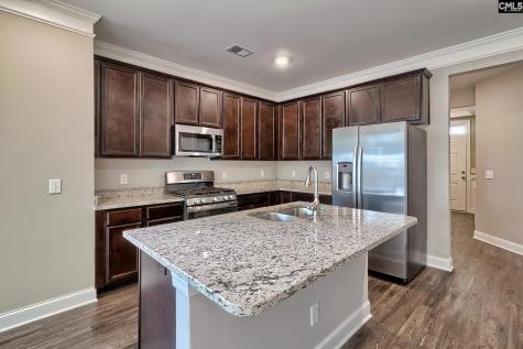 923 Taramore Lane Lexington SC 29072