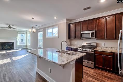 923 Taramore Lane Lexington SC 29072