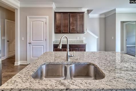 923 Taramore Lane Lexington SC 29072