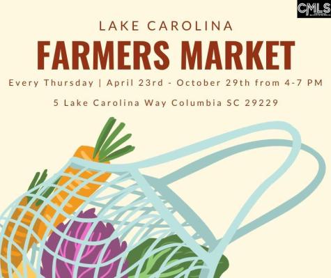 1244 Ashland Drive Columbia SC 29229