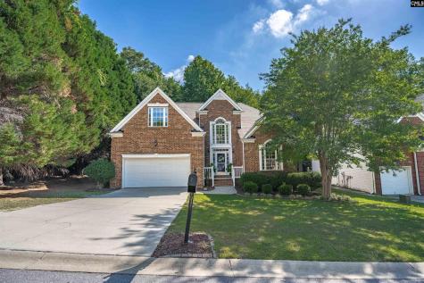 412 Mana Vista Court Lexington SC 29072