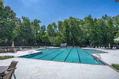 412 Mana Vista Court Lexington SC 29072