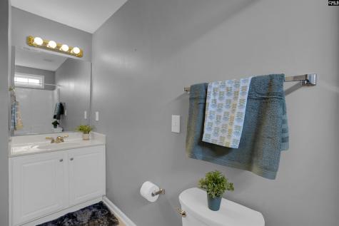 412 Mana Vista Court Lexington SC 29072