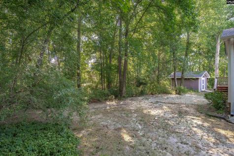 412 Mana Vista Court Lexington SC 29072
