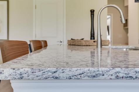 151 Bloomsbury Drive Lexington SC 29073