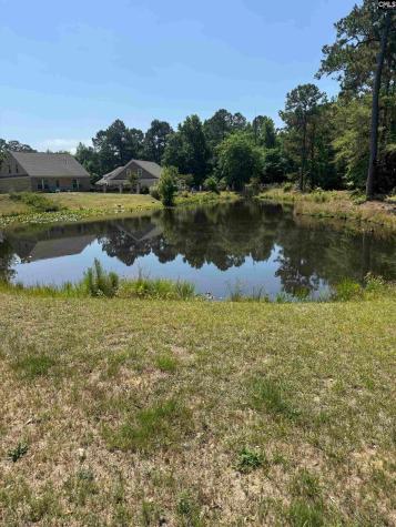 50 Daufaskie Court Sumter SC 29150-2036