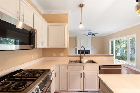9 Sesqui Court Columbia SC 29223