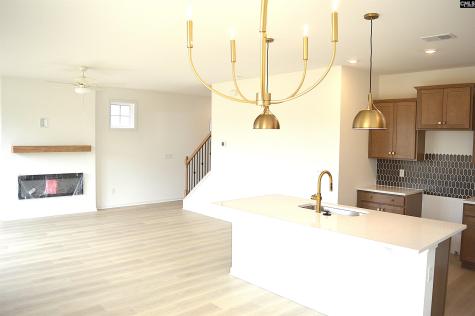 320 Conductor Lane Irmo SC 29063