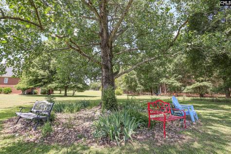 308 Kelsey Glen Court Lexington SC 29072