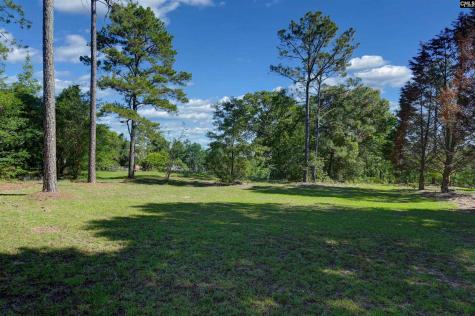 101 Brookwood Forest Drive Blythewood SC 29016-0000