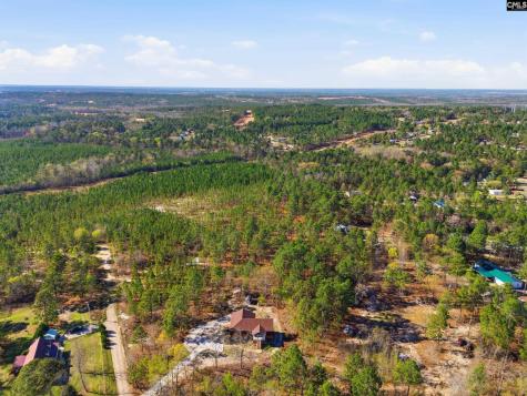 263 Sugar Loaf Road Gaston SC 29053