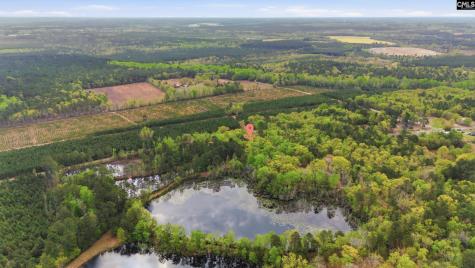 412 Pond Bluff Road North SC 29112