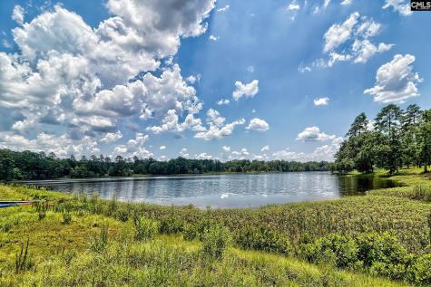 414 Litchfield Lane Lexington SC 29072