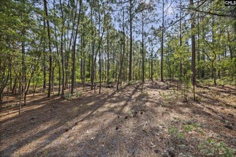 257 Rimrock Road Gilbert SC 29054