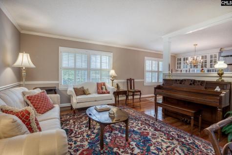 17 Shaftsbury Lane Columbia SC 29209