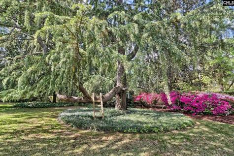 415 Harden Street Columbia SC 29205