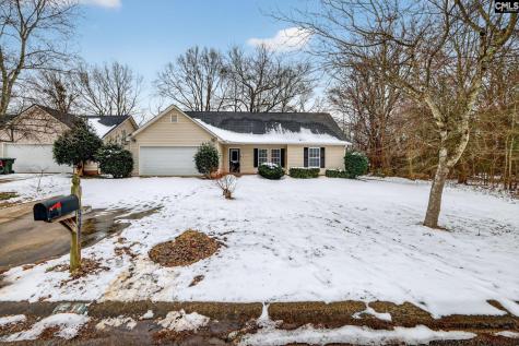 531 Lavendula Street Spartanburg SC 29301