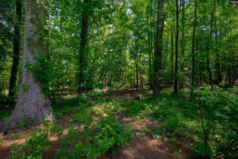 364 Governors Grant Boulevard Lexington SC 29072