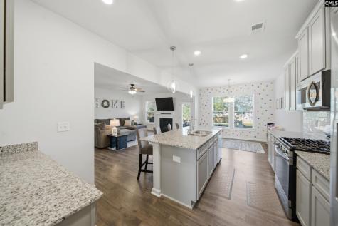 420 Jedburgh Court Lexington SC 29073
