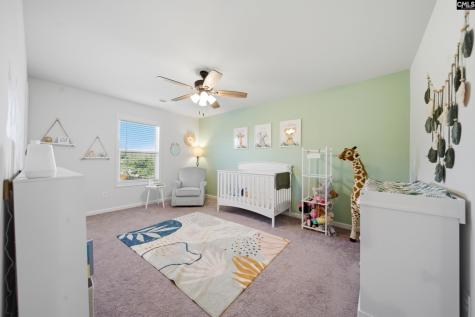 420 Jedburgh Court Lexington SC 29073