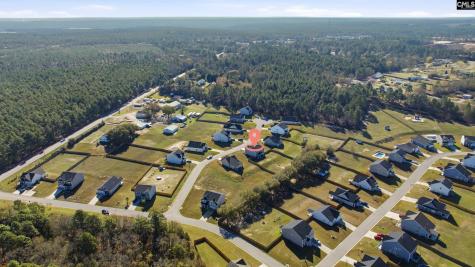 420 Jedburgh Court Lexington SC 29073