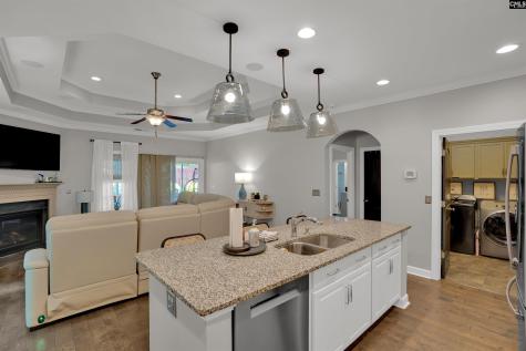 721 Xander Way Chapin SC 29036