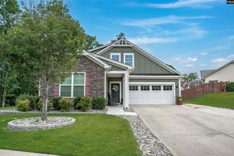 721 Xander Way Chapin SC 29036