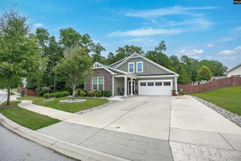 721 Xander Way Chapin SC 29036