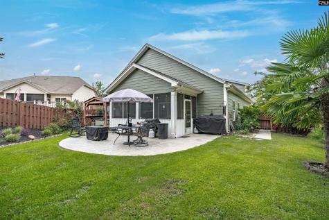 721 Xander Way Chapin SC 29036