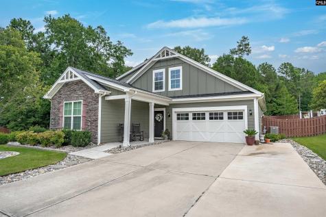 721 Xander Way Chapin SC 29036