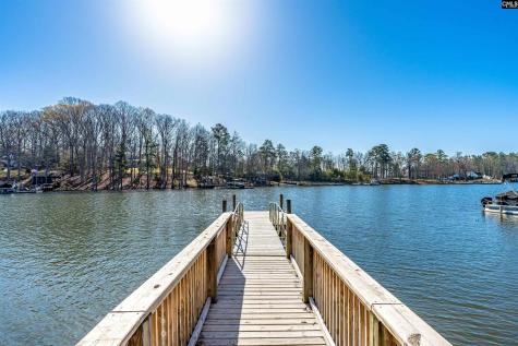 721 Xander Way Chapin SC 29036