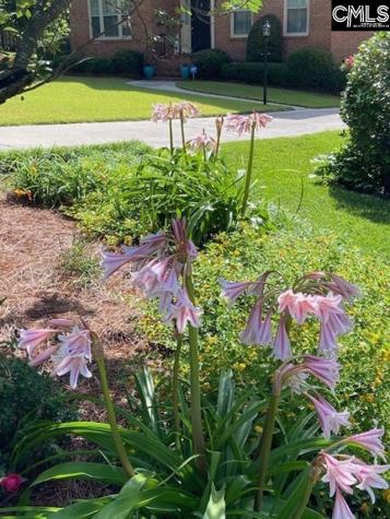 2008 Rolling Pines Drive Columbia SC 29206