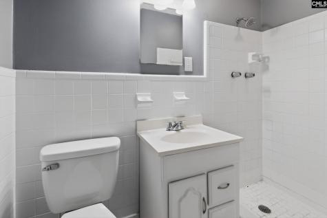 1454 Fork Avenue Irmo SC 29063