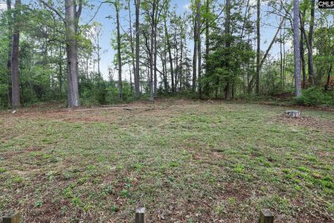 1454 Fork Avenue Irmo SC 29063