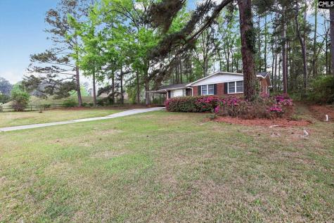 1454 Fork Avenue Irmo SC 29063