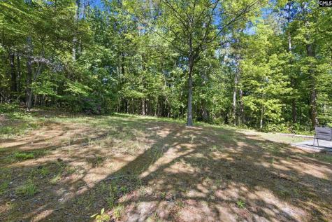 125 Silkworth Place Irmo SC 29063